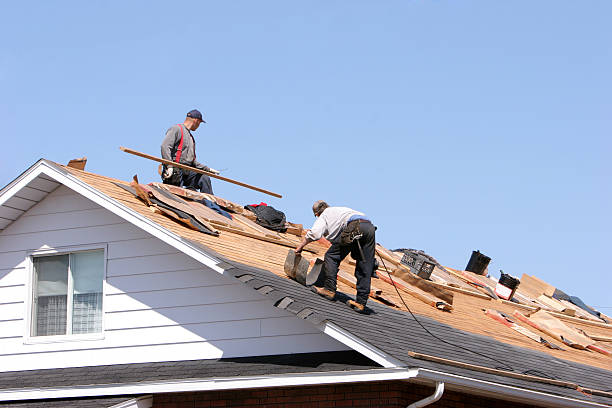 Trusted Winchester, VA Roofing services Experts